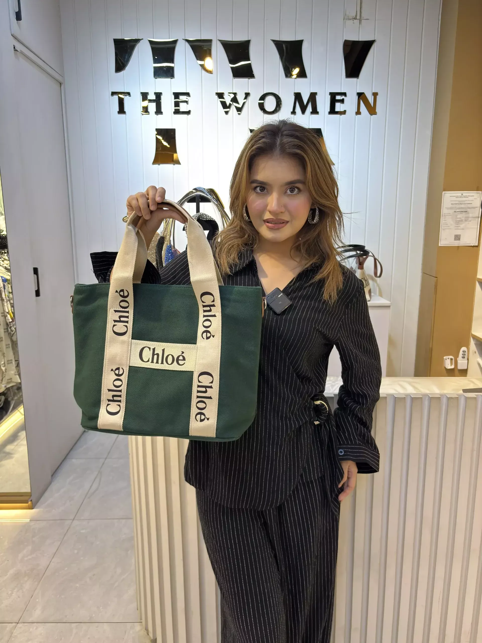 Premium Imported HandBag - 2716 (Green)